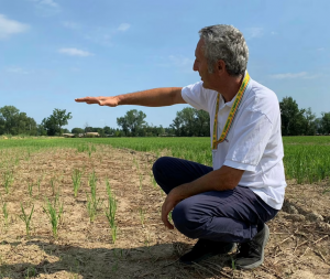 Farmers feel heat as northern Italy suffers worst drought in decades - CGI CAC.